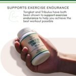 🔥 Tongkat Ali Extract (Eurycoma Longifolia) + Tribulus Complex - Image 2