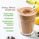 🌱 Orgain Organic Vegan Protein Powder (Chocolate Fudge) - Image 3